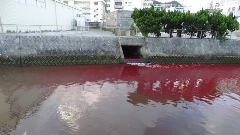 Ndodh fenomeni i pazakontë në këtë vend, alarmohen banorët