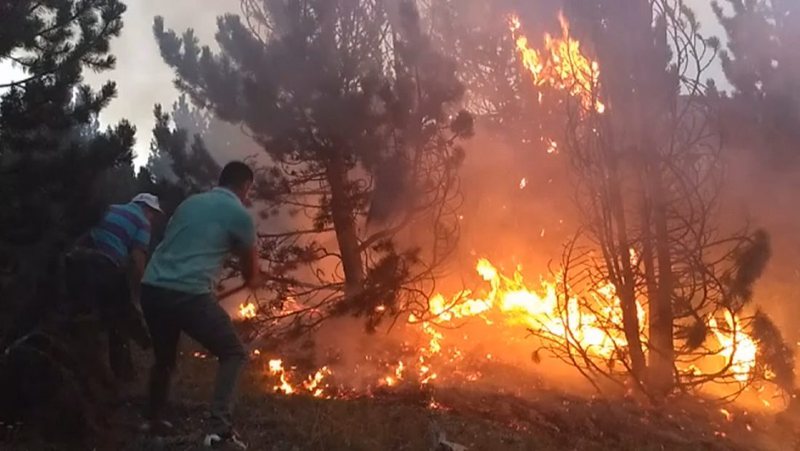 Zjarrvëniet e qëllimshme, reagon Rama dhe del me paralajmërimin ndaj prokurorëve dhe gjyqtarëve në rrethe