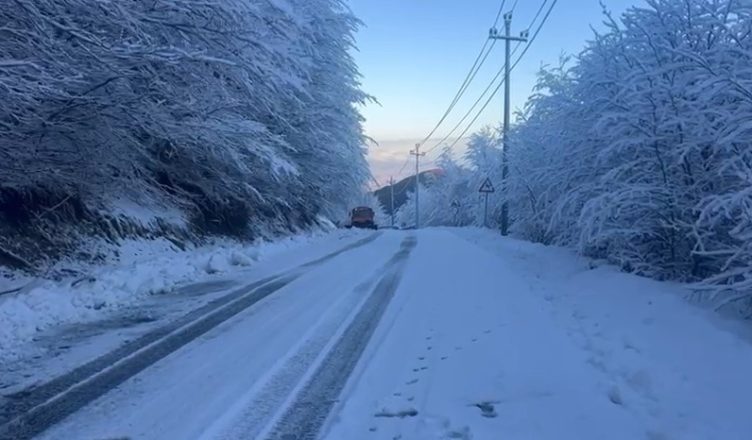 Rikthehen Reshjet E Borës Në Juglindje, Trashësi Deri Në 5 Cm Në Dardhë