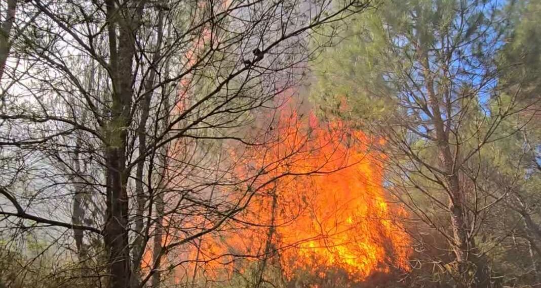 Rritja e temperaturave/ Në gatishmëri për zjarre të mundshme, shtohet kujdesi për këtë qytet