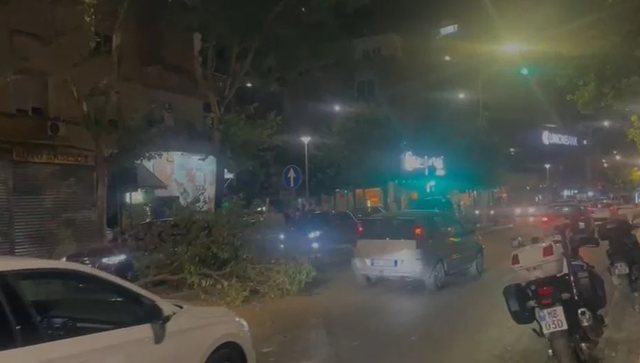 Tiranë, makina merr para barrierat ndarëse dhe thyen pemën, largohet nga vendngjarja, por… lë targën