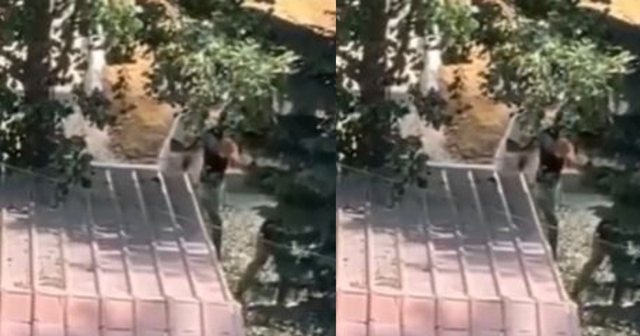 Sh*rri në Pogradec/ Dalin PAMJET nga p*rplasja fizike mes 4 personave në fshatin Tushemisht
