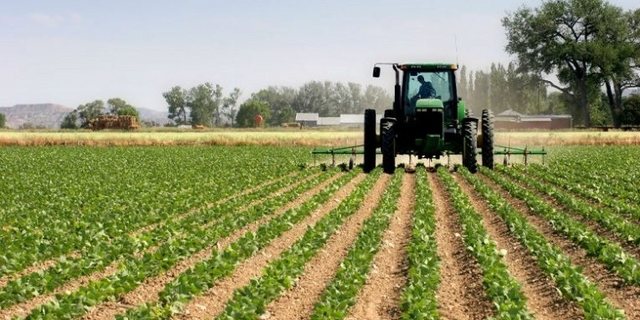 Ndryshon skema kombëtare e bujqësisë për 2025, shtohen masa të reja financimi