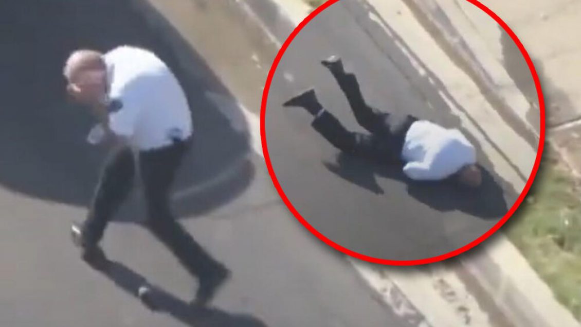 Panik në qytet! Tufa e bletëve sulmon kalimtarët, 24 të lënduar, tre prej tyre në gjendje kritike
