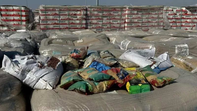 “Nuk e ndal urinë mielli nga qielli”, Gaza në kufijtë e mbijetesës