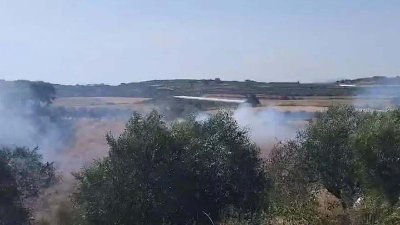 Flakët “shkrumbojnë” ullinjtë dhe vreshtat në Belsh! Rrezikohen dhe banesat