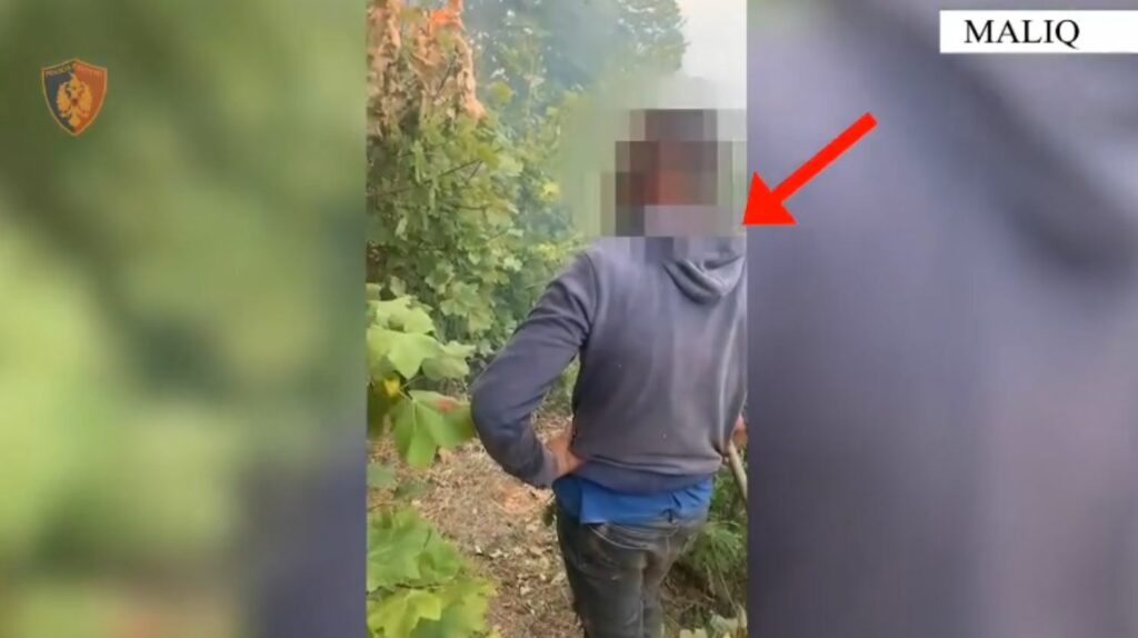 Ndezi zjarr për të hapur kullotat, arrestohet 26-vjeçari në Maliq