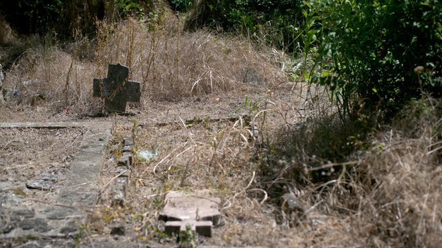 Fshati ku pretendohet se është vendlindja e vampirëve: Dikur raportoheshin vdekje misterioze