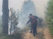 Përfshihet nga flakët masivi pyjor në Lurë të Dibrës, zjarri merr përmasa të mëdha! Pritet ndërhyrje nga ajri me helikopter