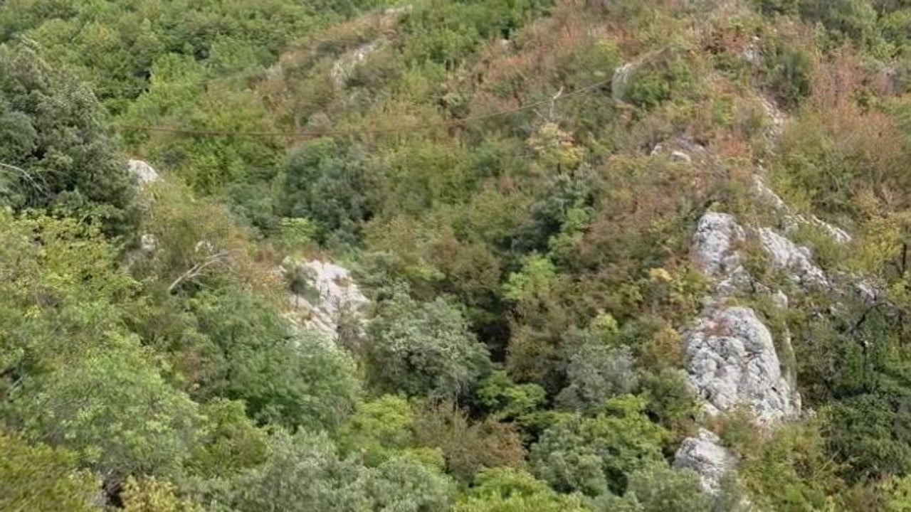 Doli për të kërkuar qenin që i ruante bagëtinë, gjendet i pajetë 56-vjeçari në Elbasan