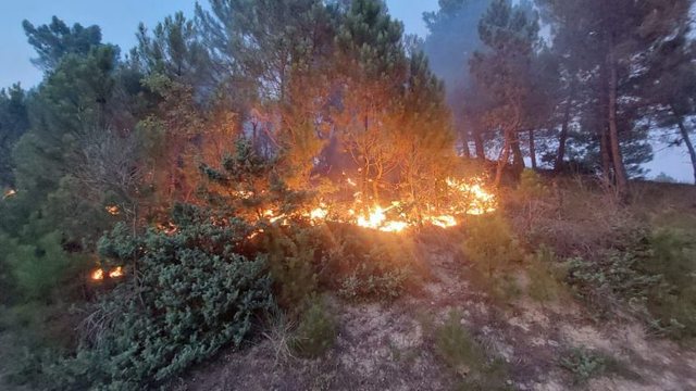 Situata nga zjarret, Mbrojtja: 34 vatra gjatë 24 orëve të fundit, 5 prej tyre mbeten aktive në…