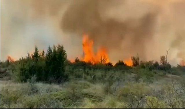 Kukës, izolohet zjarri në fshatin Bele të Parkut “Korab-Koretnik”