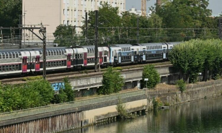 Tronditëse/ Katër trupa të pajetë u gjetën në lum, arrestohet vrasësi i dyshuar
