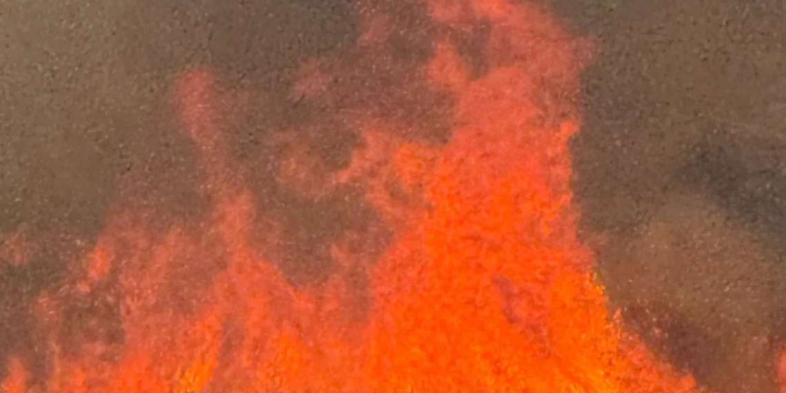 Përkeqësohet situata me zjarrin në Lekël të Tepelenës, shpërthejnë edhe dy bomba të Luftës së Dytë Botërore