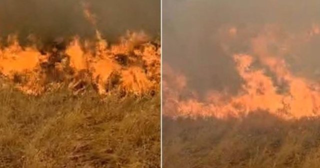 Përkeqësohet situata në Delvinë, flakët përhapen deri te Mali i Sopotit, rrezikohet fshati i Lazaratit dhe Gjirokastra