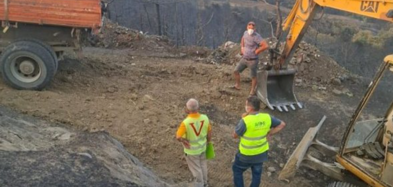Dëmet nga zjarret, AKVMB: Rreth 130 krerë bagëti dhe mbi 600 zgjoje bletësh të djegura në jug të vendit