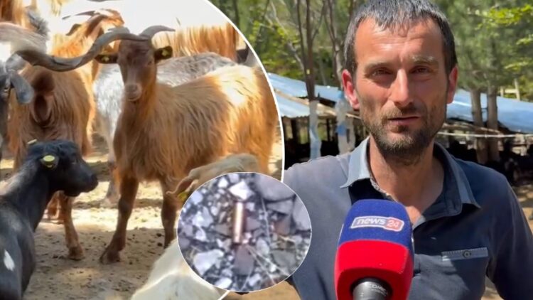 “Ik se do vdesësh”/ Flet fermeri në Pukë: U zgjuam me krisma armësh, jemi të traumatizuar