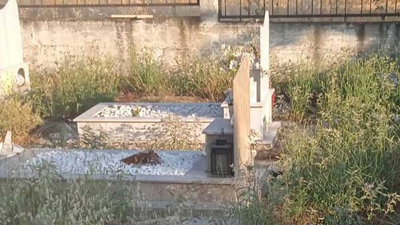 Aty ku nuk e pret/ Shkon në varreza të vizitojë të afërmit, e plaçkisin duke i marrë gjithçka kishte me vete