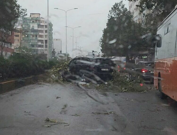 Kaos në kryeqytet/ Stuhia bën kërdinë në Tiranë, pemët përfundojnë mbi makina