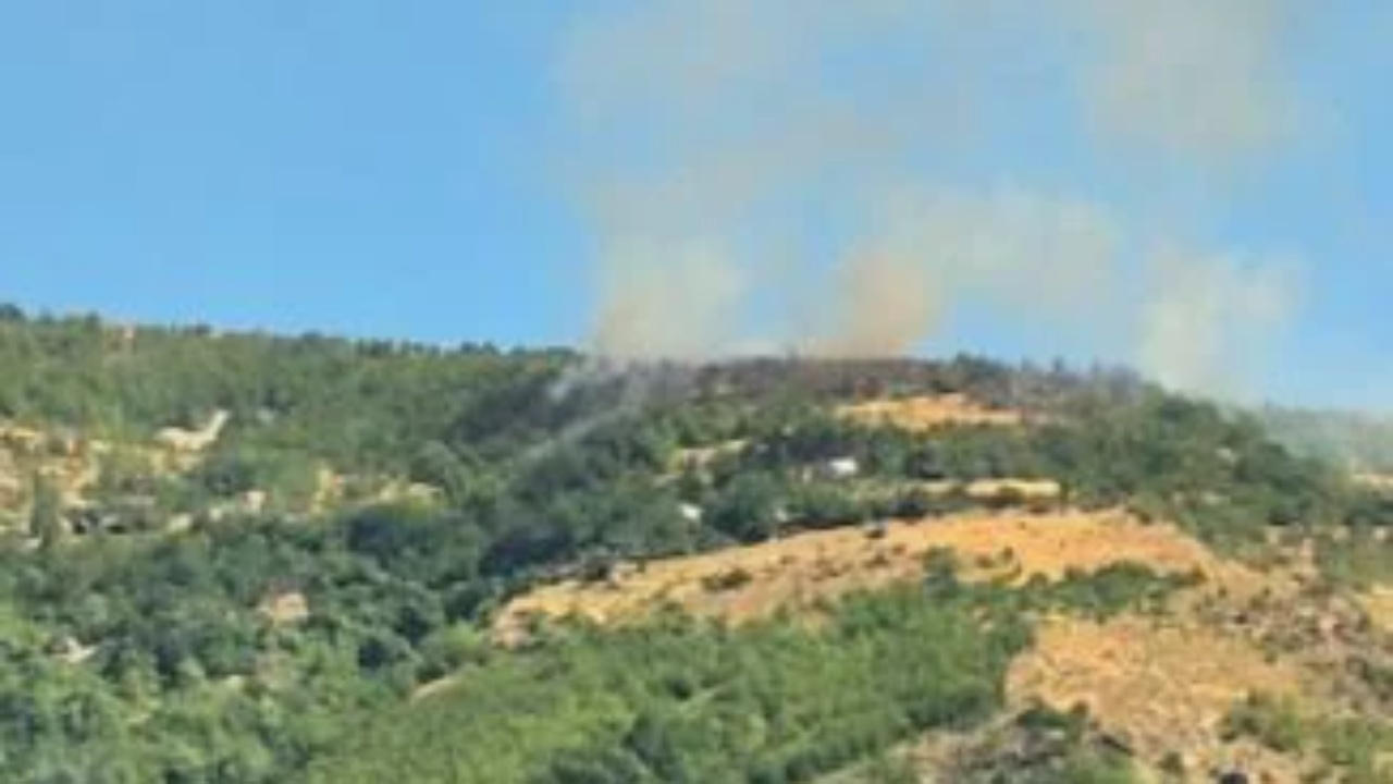 Zjarret në Kukës dhe Tropojë/ Vatrat e fundit të shuara plotësisht, vijon monitorimi nga strukturat lokale