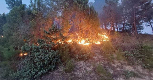 Tropoja përfshihet nga zjarret/ Evakuohen dy fshatra, rrezikohen linjat e tensionit të lartë