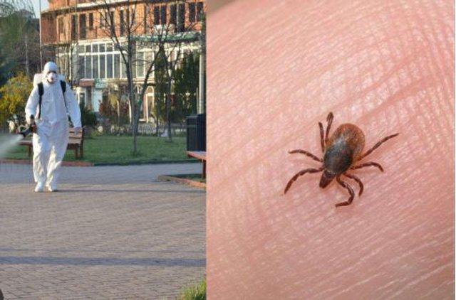 Alarm shëndetësor/ Ekspertët paralajmërojnë rikthimin e sëmundjes vdekjeprurëse