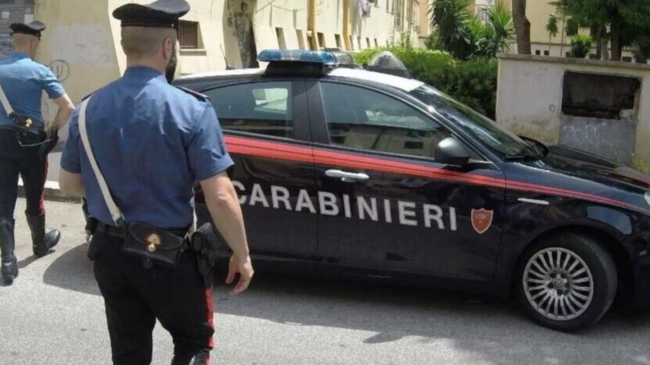Babai tentoi të mbyste djalin e tij të mitur dhe i vuri flakën shtëpisë, qeni hero i shpëton jetën fëmijës