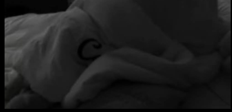 Banorët kryejnë marrëdhënie në BBVK? (Video)